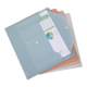 Deli file bag Morandi color transparent