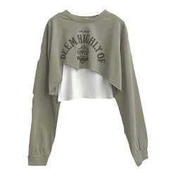 Sweatshirt women's design niche 2021 new spring and autumn thin loose Korean style short two-piece vest top