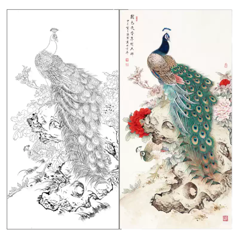 陈军工笔画白描底稿孔雀牡丹四尺原作66*129厘米花鸟线稿含A3步骤图画稿