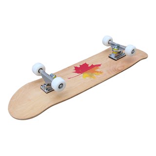 滑板初学者男女生3-6-12岁青少年儿童成年短板刷街四轮双翘滑板车