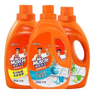 Mr. Mighty Household Floor Tile Cleaner