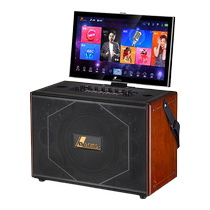 Danmark outdoor karaoke audio full set of display screen projection KTV singing karaoke microphone all-in-one speaker