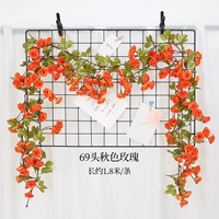 69 Осенний Розовый Сансет Красный