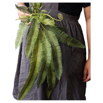 Simulated ferns pastoral decorative flowers variety styles Simulated ferns pastoral decorative flowers variety styles