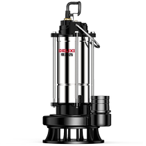 Delixi pumping submersible pump small water pump household self-priming 220v high lift large flow agricultural irrigation