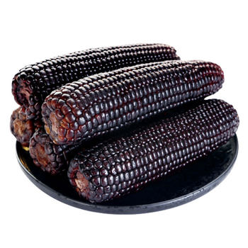 2025 fresh northeast black waxy corn contains anthocyanins
