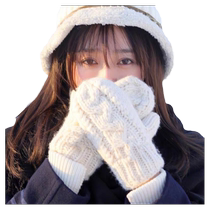 White gloves winter Korean style cute simple plus velvet thickened cold-proof and warm twist double-layer knitted mittens for women