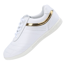 Jin Chi Tai Chi Shoes Mens Genuine Leather Soft Tendon Sole Martial Arts Shoes Summer Tai Chi Practice Shoes Breathable Sports Shoes Womens