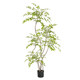 Simulated green plant Nandina bamboo indoor living room TV cabinet high-end bionic green plant floor-standing potted atmosphere tree