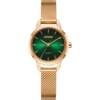Citizen’s official new authentic internet celebrity ladies’ watch