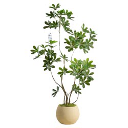 Simulated Duckbill Tree Living Room High-End Light Luxury Green Plant Indoor Balcony Floor-Standing Decorative Ornament Large Artificial Tree Landscaping