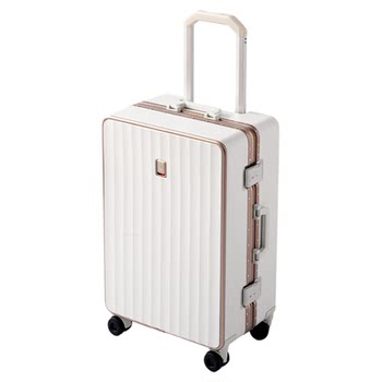 This is my luggage in life