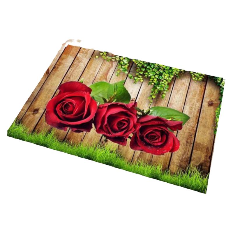 Soft diatom mud absorbent non-slip bathroom floor mat