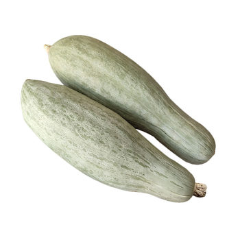 Xinjiang noble pumpkin glutinous chestnut sweet baby food complementary food