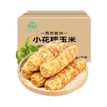 Yunnan Xiangnuo small corn 1 2kg loose weight about 8 pieces breakfast meal replacement coarse grain non-GMO Hua Nuo