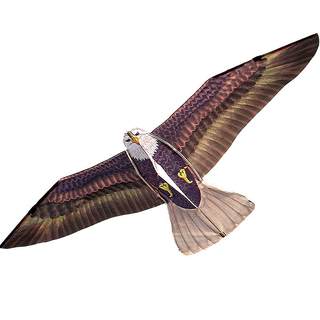 Kiteweifanghengjiangeagleanimalchinaadult