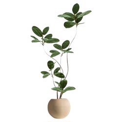 Artificial Green Plant Black Rubber Tree Indoor Living Room Large Potted Plant High-End Luxury Faux Tree Plant Decoration