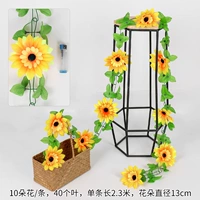 10 солнечных цветочных лоз 2