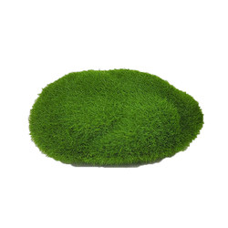 Artificial Moss, Artificial Moss, Lawn Materials, Stone Micro-Landscape DIY Materials, Succulent Arrangement Decorations