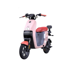 No.9 Electric A90 LINEFRIENDS co-branded new national standard electric car No.9 smart battery car for pick-up in store