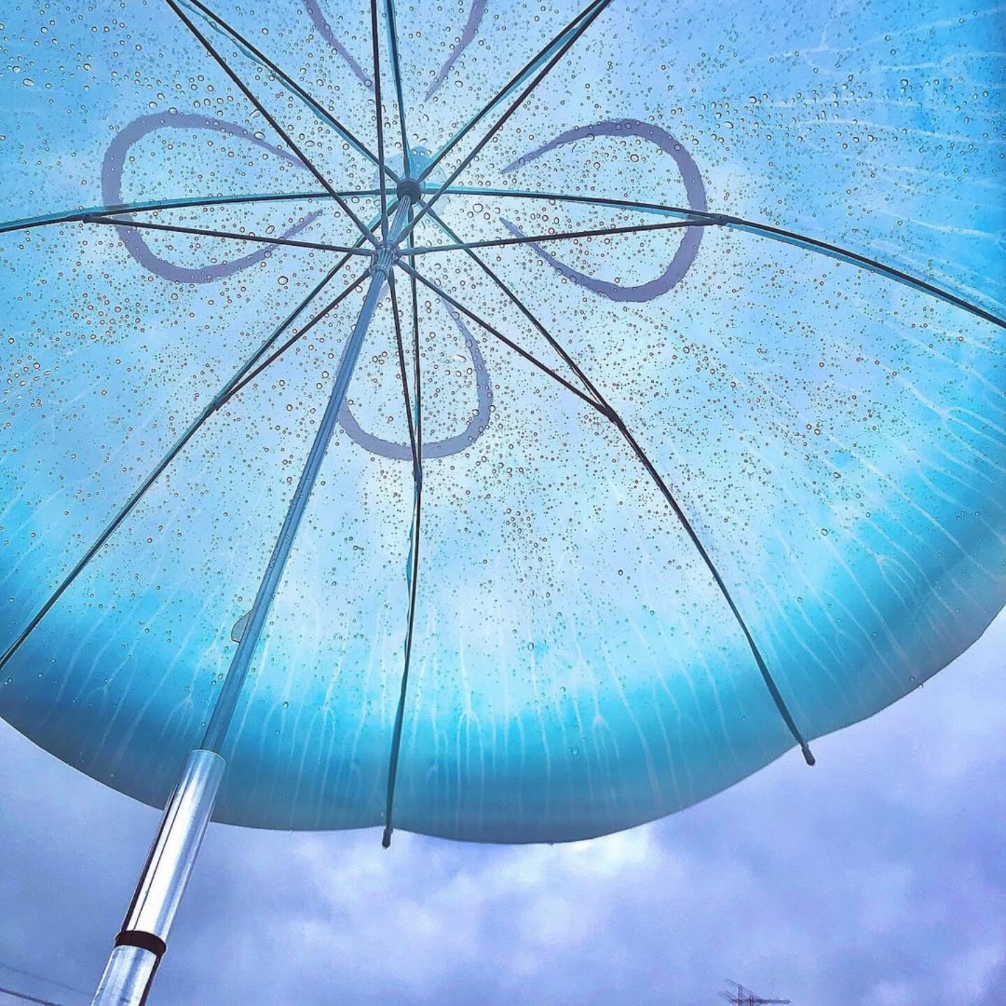 Authentic Japanese Felissimo YOU+MORE Kamo Aquarium Collaboration Series Transparent Jellyfish Umbrella