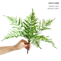 Симуляция 7 листьев хвостовой папоротник