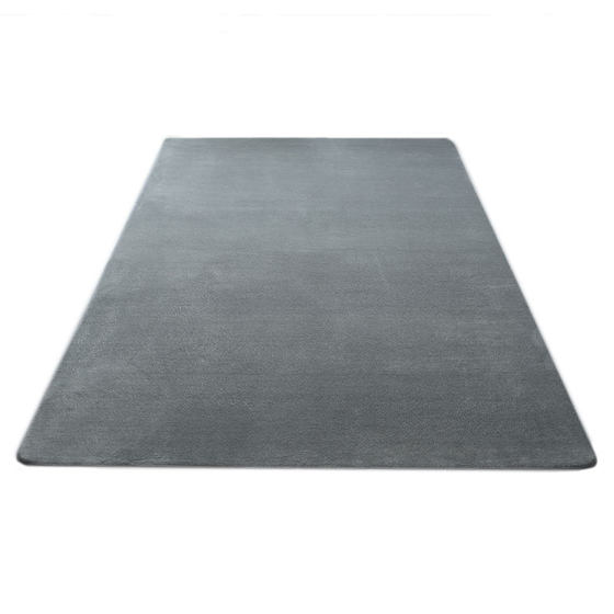 Simple modern carpet for bedroom and living room