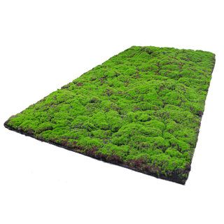 Artificial moss moss diy artificial moss lawn sod fake moss green plants decorative landscaping bonsai pavement
