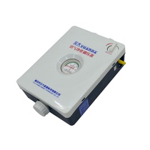 Rural home biogas purifier regulator desulfurizer biogas generator stove special biogas AXI gas septic tank equipment