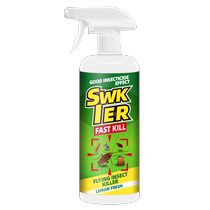 Insecticide Odorless Aerosol Home Interiors Cockroach Drug All Nest Flea Smelly Worm End Deworming Deworder Non-Innocuous