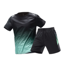 Sports suit mens fitness clothes quick-drying summer ice silk short-sleeved shorts T-shirt feather basketball football running suit