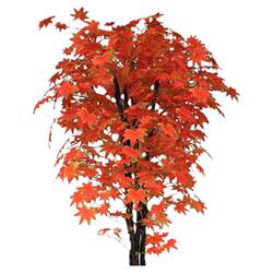 High-End Artificial Green Plants, Large Chinese and Japanese-Style Red Maple Trees, Home Tea Room, Exhibition Hall, Storefront Floor-Standing Floral Decoration