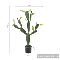 Принесите один полюс полигоба с тазом