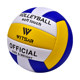 Special Volleyball for Students' Training for No. 5 in the High School Entrance Examination