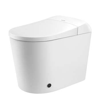 Panasonic smart toilet whirlpool bubble flush during power outage