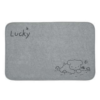 Thickened memory foam absorbent anti-slip bathroom mat