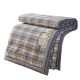 Class A Xinjiang 100 pure cotton quilt core summer cool quilt