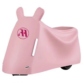 Rainproof cover emma car cover