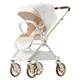 Qborn newborn high view stroller