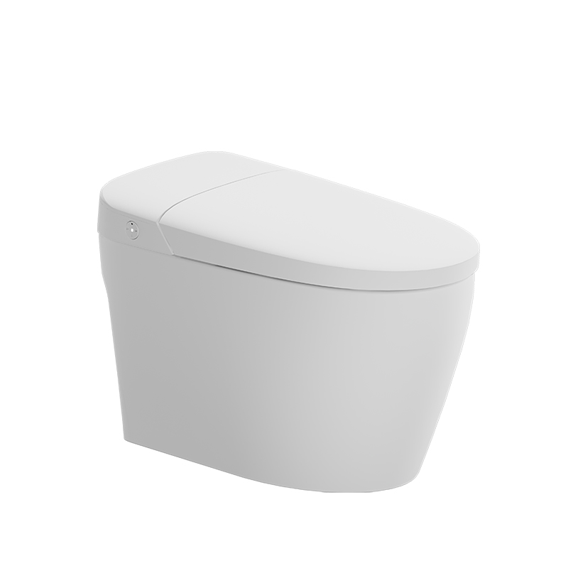 Realt smart toilet S3A energy-saving version foam shield
