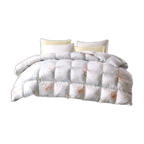 Fuana Down Quilt 95 White Goose Down Quilt Core Spring Осень-Одеяло Из Студенческих Общежитий Ушиб Тёплый Зимний Зимний Толстый Квинт Новый Продукт