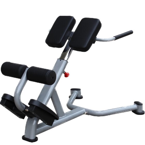 Linuo Psoas Professional Gym Equipment Roman Chair