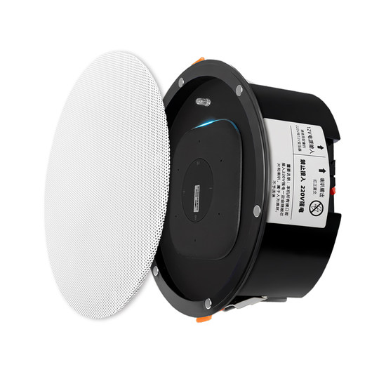 Потолочные динамики с поддержкой управления Super Xiaoai PRO