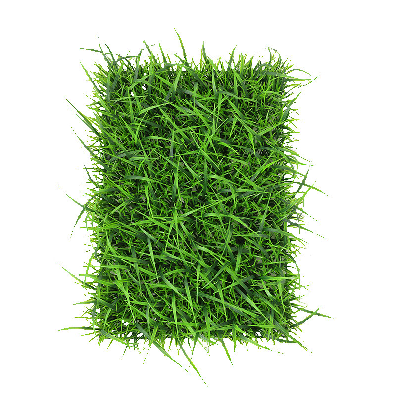 Hua Qianyun simulates big seedling lawn partition decorative grass