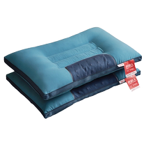 Cassia seed pillow single student dormitory buckwheat shell sleep-aiding cervical vertebra pillow core household one pair installed whole head hard