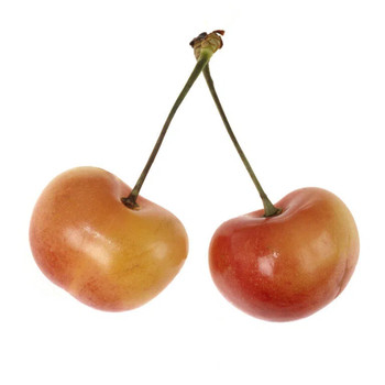 Crisp and sweet rare varieties of golden cherries imported from chile