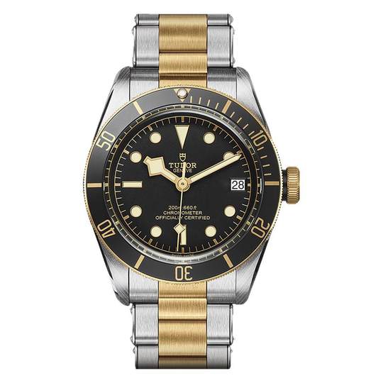 Автоматические механические часы серии Tudor TUDOR Biwan