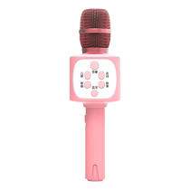 Petite micro-microphone pour enfants Micro intégré bébé Karok Machine de chant garçon Echo Toy Fille sans fil