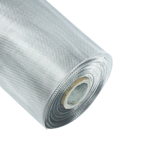 Anti-mosquito screen net invisible thickened 304 stainless steel anti-rat and mosquito-proof high permeability sand minimalist steel wire self-installation type