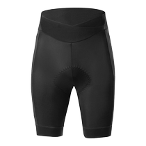 Rock Brothers Tianlu Series Cycling Shorts Womens Breathable Quick-Drying Summer Road Cycling Pants Cycling Clothing Equipment